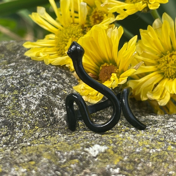 Black Snake Ring - Picture 1 of 8
